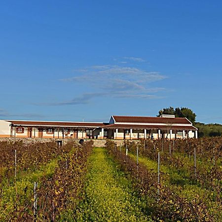 Turismo Rural Pedremoura Guest House Vila Ruiva  Eksteriør bilde